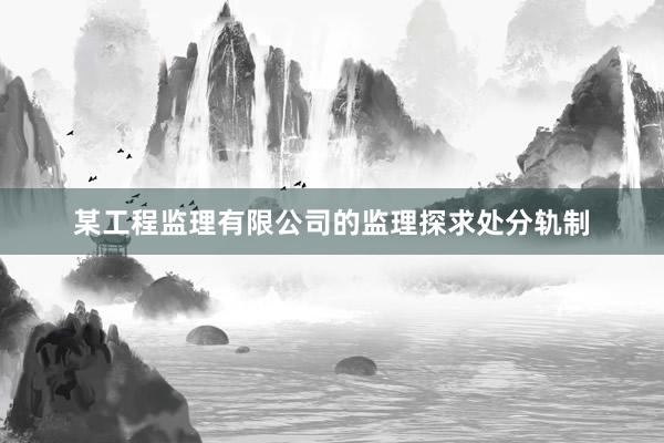 某工程监理有限公司的监理探求处分轨制